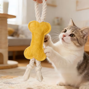 Cat Chew Toy - Natural Loofah - Assorted Shapes