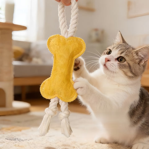 Cat Chew Toy - Natural Loofah - Assorted Shapes