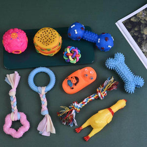 Dog Squeaky Chew Toy Set - Durable - Assorted Shapes
