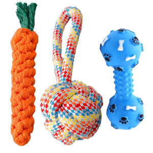 Dog Squeaky Chew Toy Set - Durable - Assorted Shapes