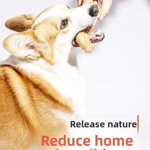Dog Dental Chew Toy - Wood Flour - Bite-Resistant Multi-Shape