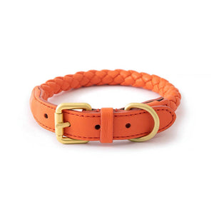 Dog Collar & Leash Set - Woven Leather