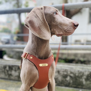 Dog Harness & Leash Set - Premium Leather - Adjustable Fit