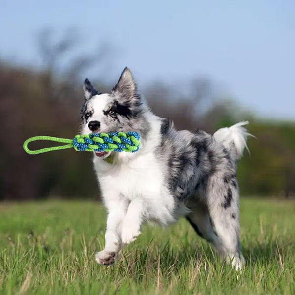 Dog Rope Toy Set - Spring Bar & Cotton Rope - Reflective