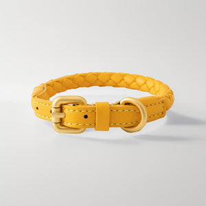 Dog Collar & Leash Set - Woven Leather