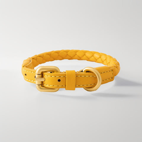 Dog Collar & Leash Set - Woven Leather