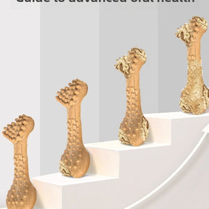 Dog Dental Chew Toy - Wood Flour - Bite-Resistant Multi-Shape