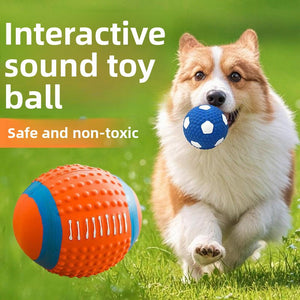 Dog Squeaky Ball Toy - Bite-Resistant Vinyl - Sports Ball Design
