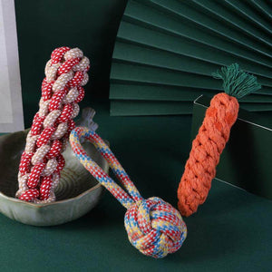 Dog Squeaky Chew Toy Set - Durable - Assorted Shapes
