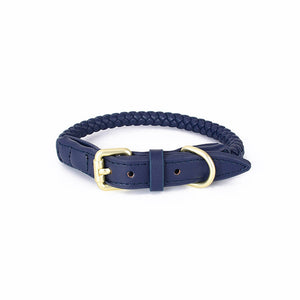 Dog Collar & Leash Set - Woven Leather