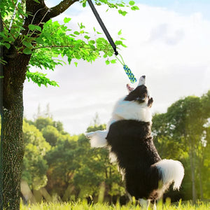 Dog Rope Toy Set - Spring Bar & Cotton Rope - Reflective