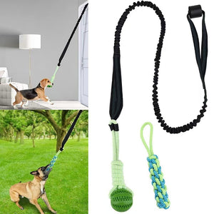 Dog Rope Toy Set - Spring Bar & Cotton Rope - Reflective