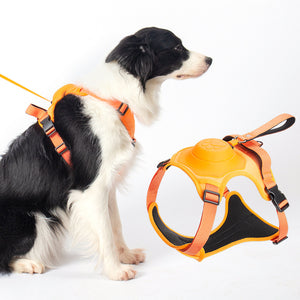Retractable Dog Leash - Vest Harness Set - Adjustable